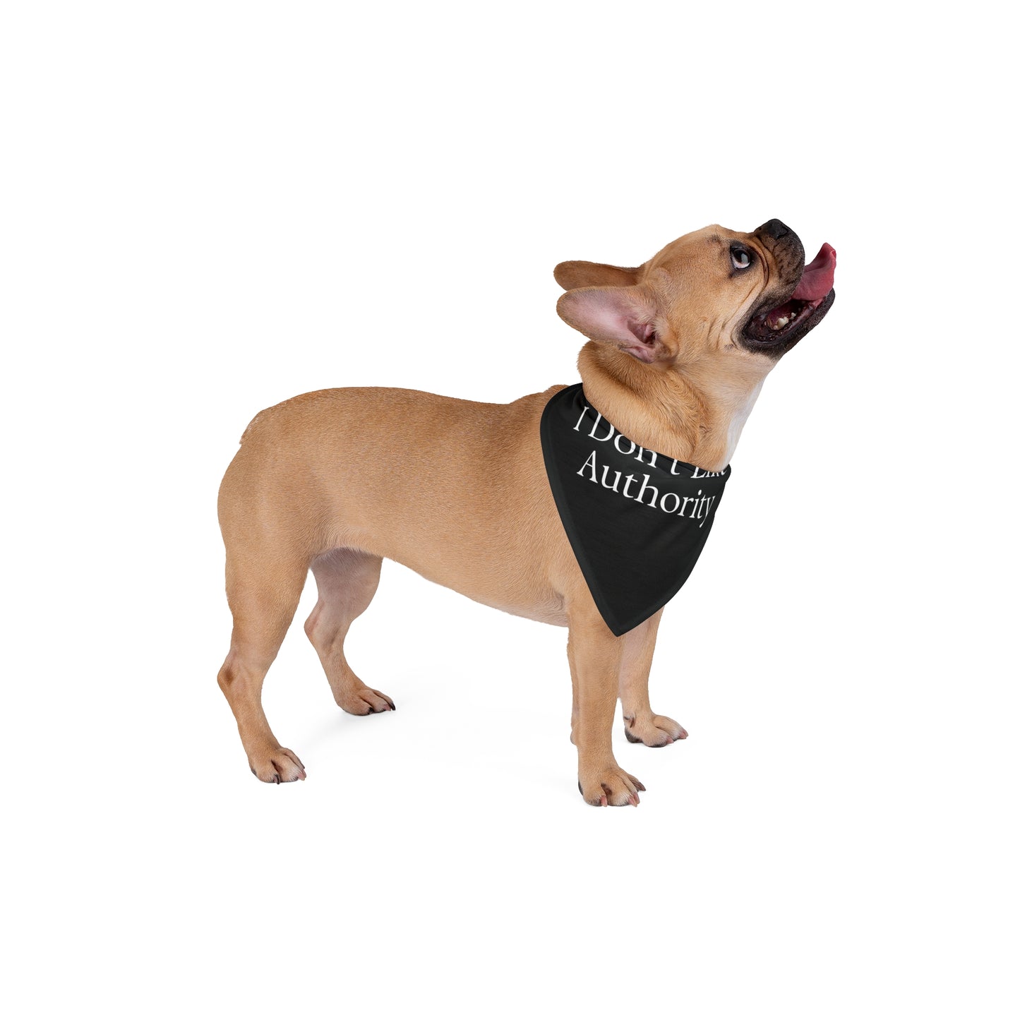 Pet Bandana
